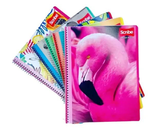 CUADERNO PROFESIONAL CUADRO CHICO